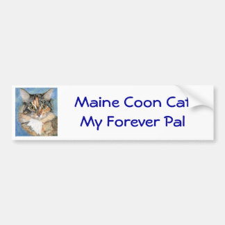 Maine Coon Cat Bumper Sticker