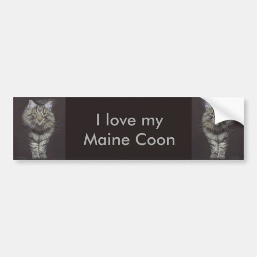 Maine Coon Cat Bumper Sticker