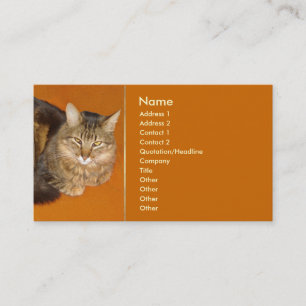 Maine Coon Cat Business Card