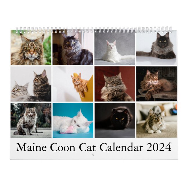 Maine Coon Cat Calendar (Cover)