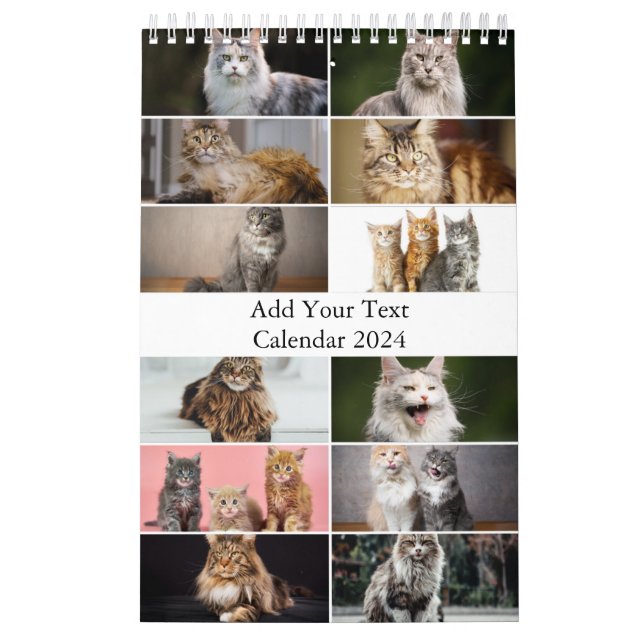 Maine Coon Cat Calendar (Cover)