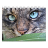 Tony Teddy Large 2023 Cat Calendar