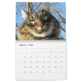 Maine Coon Cat Calendars | Zazzle