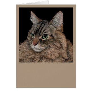 Maine Coon Cat Card