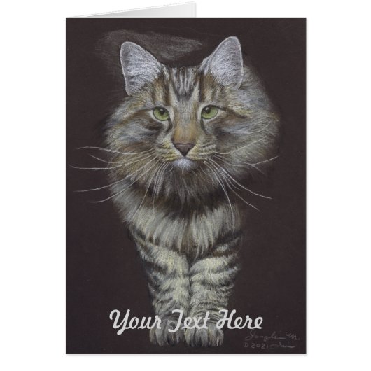 Maine Coon Cat Cards (Front)