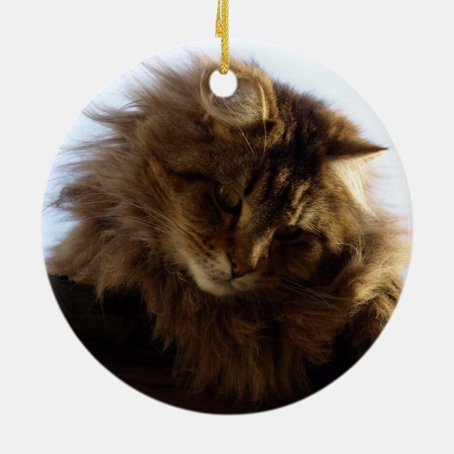 Maine Coon Cat Ceramic Ornament (Back)