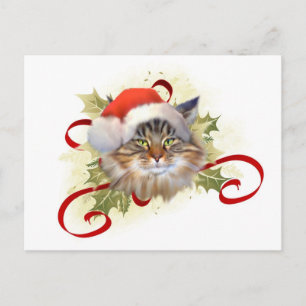 Maine Coon Cat Christmas Postcard