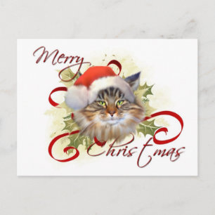 Maine Coon Cat Christmas Postcard