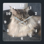 Maine Coon Cat Clock<br><div class="desc">Maine Coon Cat Clock</div>