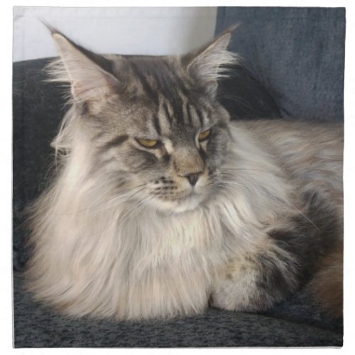 Maine Coon Cat Cloth Napkins