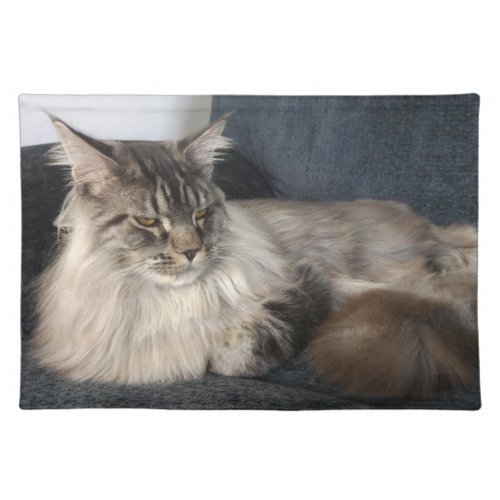 Maine Coon Cat Cloth Placemat