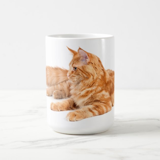 maine coon mug