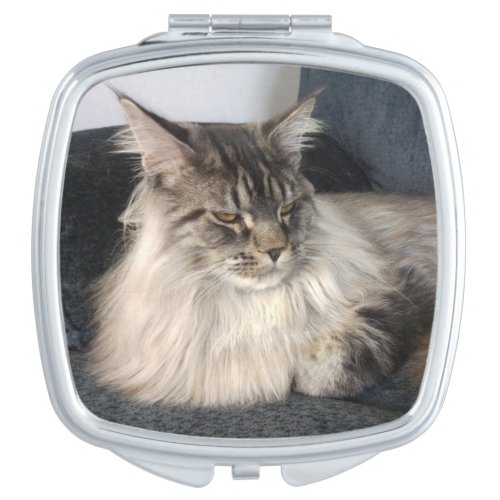 Maine Coon Cat Compact Mirror