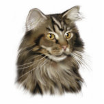 Maine Coon Cat Cutout<br><div class="desc">A beautiful Maine Coon cat.</div>