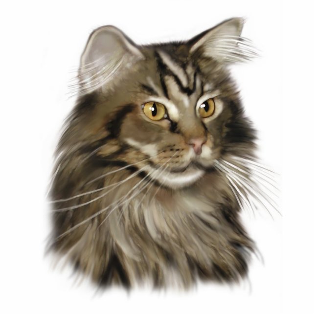 Maine Coon Cat Cutout (Front)