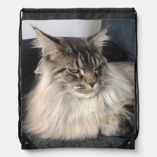 Maine Coon Cat Drawstring Backpack