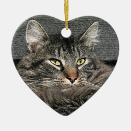 Maine Coon cat face Ceramic Ornament