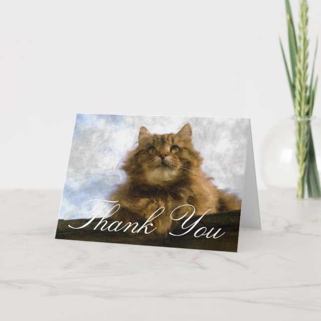 Maine Coon Cat Impressionist Art Thank You Card (Front)