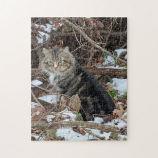 Maine Coon Cat in Forest Jigsaw Puzzle