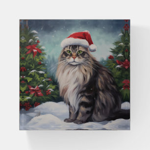 Maine Coon Cat in Snow Christmas Paperweight