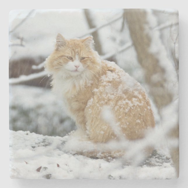 Maine Coon Cat in Snowstorm Coaster (Front)