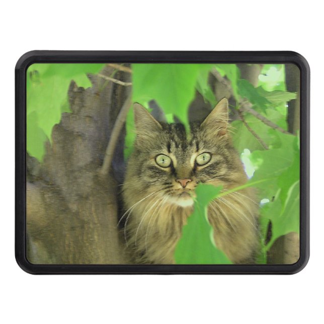 Maine Coon Cat in Tree Hitch Cover (Front)