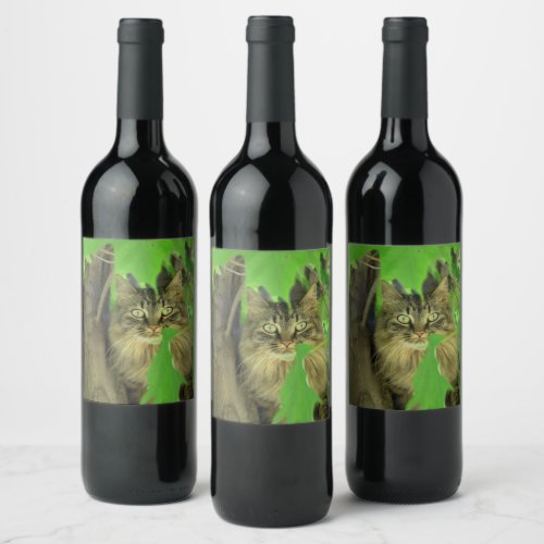 Maine Coon Cat in Tree Wine Label