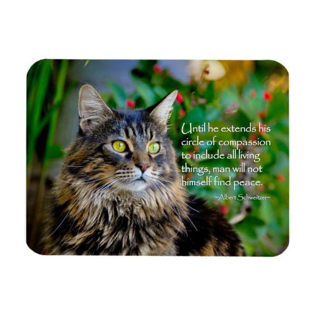 Maine Coon Cat Inspirational Magnet (Horizontal)