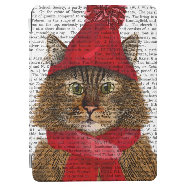 Maine Coon Cat iPad Air Cover (Front)