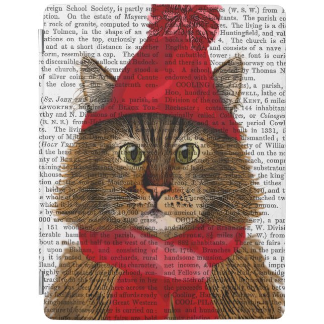 Maine Coon Cat iPad Air Cover (Front)