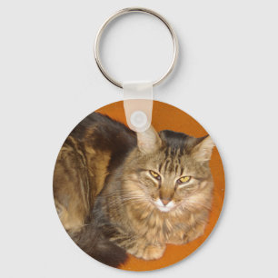 Maine Coon Cat Keychain