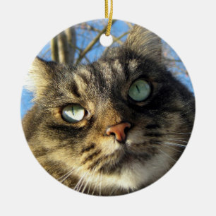 Maine Coon Cat Kitty Ceramic Ornament