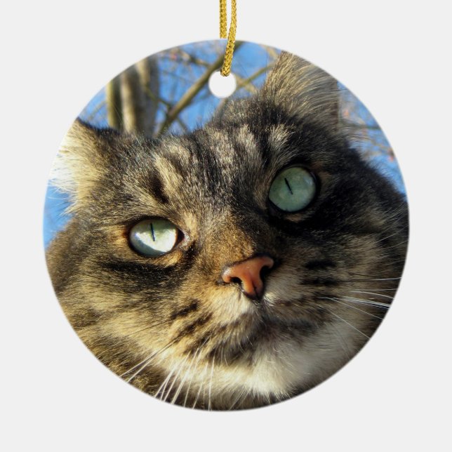 Maine Coon Cat Kitty Ceramic Ornament (Front)