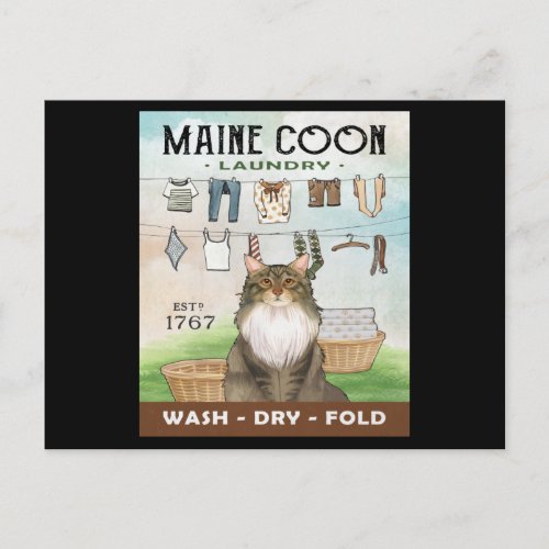 Maine Coon Cat Laundry Company Postcard