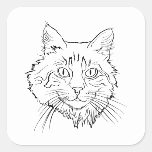 Maine Coon Cat Line Art Square Sticker