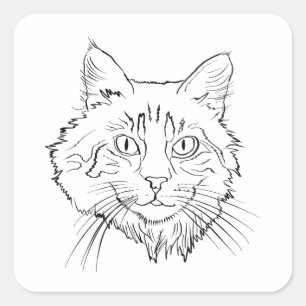 Maine Coon Cat Line Art Square Sticker