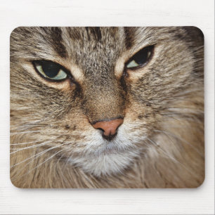 Maine Coon Cat Macro Mouse Pad