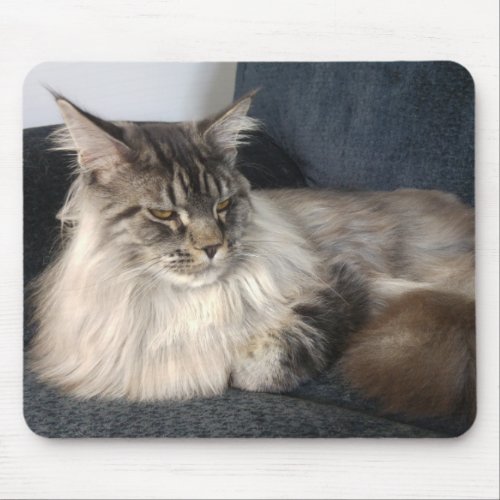 Maine Coon Cat Mouse Pad