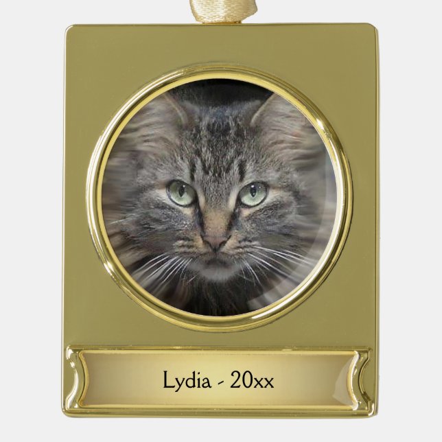 Maine Coon Cat Name and Year Gold Plated Banner Ornament (Front)