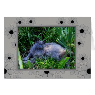 Maine Coon Cat Note Card / Blank Inside