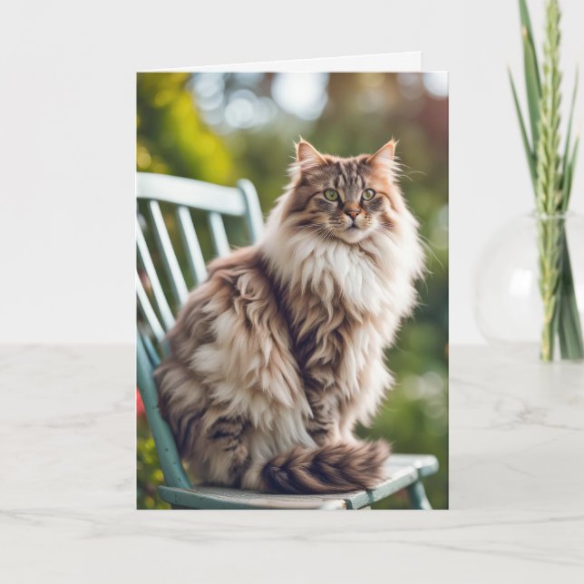 Maine Coon Cat On Chair for Birthday Card (Front)