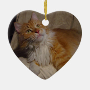 Maine Coon cat Ornament