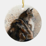 Maine Coon Cat Ornament at Zazzle
