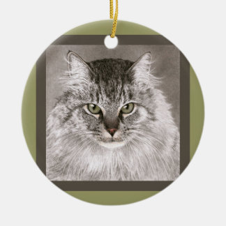 Maine Coon Cat Ornament - "Merlin"