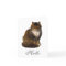 Maine Coon Cat Painted Portrait Art Hello