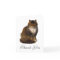 Maine Coon Cat Painted Portrait Art Thank You