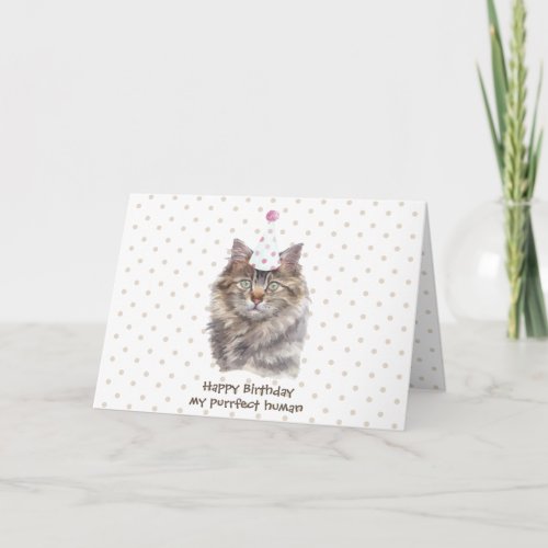 Maine coon Cat party hat celebrate birthday Card