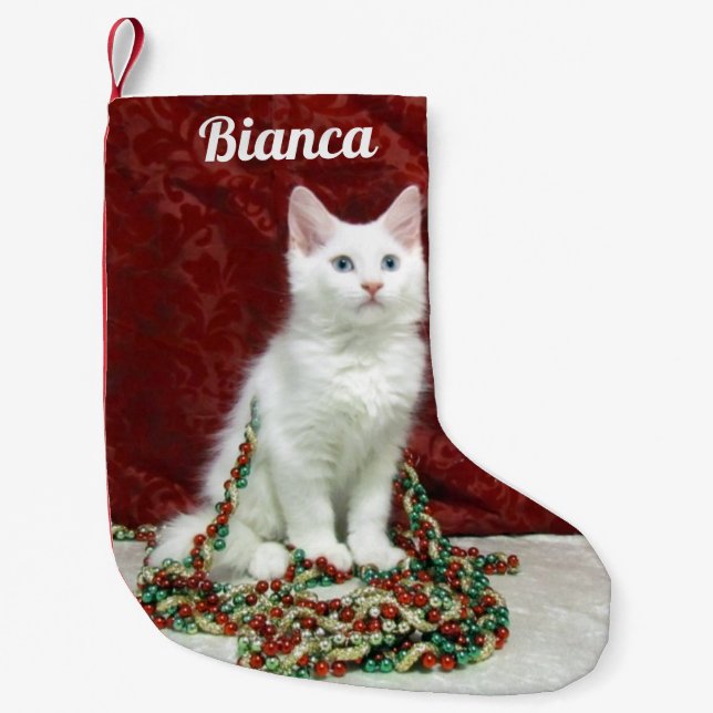 Maine Coon Cat - Personalized Christmas Stocking (Front)