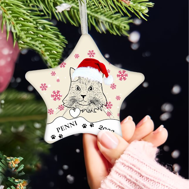 Maine Coon Cat Personalized Hand Drawing Ceramic Ornament (Creator Uploaded)