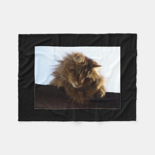 Maine Coon Cat Pet Fleece Blanket